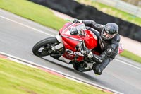 Oulton-Park-14th-March-2020;PJ-Motorsport-Photography-2020;anglesey;brands-hatch;cadwell-park;croft;donington-park;enduro-digital-images;event-digital-images;eventdigitalimages;mallory;no-limits;oulton-park;peter-wileman-photography;racing-digital-images;silverstone;snetterton;trackday-digital-images;trackday-photos;vmcc-banbury-run;welsh-2-day-enduro